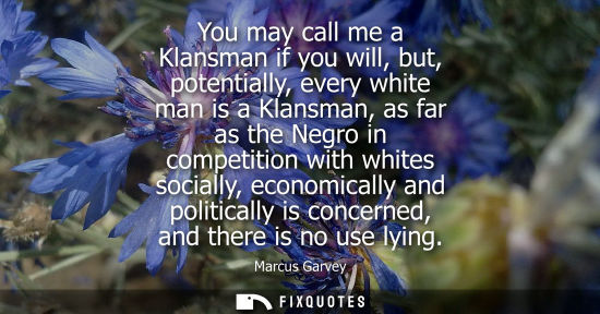Small: You may call me a Klansman if you will, but, potentially, every white man is a Klansman, as far as the 