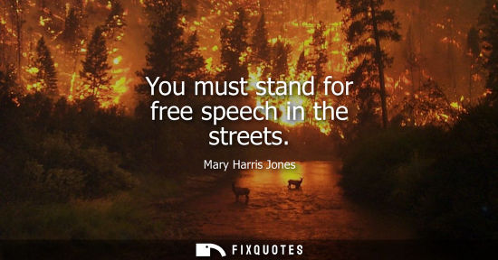 Small: You must stand for free speech in the streets