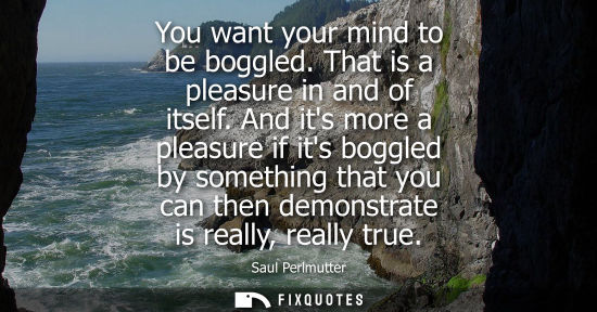 Small: You want your mind to be boggled. That is a pleasure in and of itself. And its more a pleasure if its b