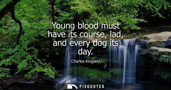 Small: Young blood must have its course, lad, and every dog its day