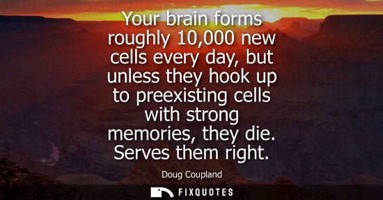 Small: Your brain forms roughly 10,000 new cells every day, but unless they hook up to preexisting cells with strong 