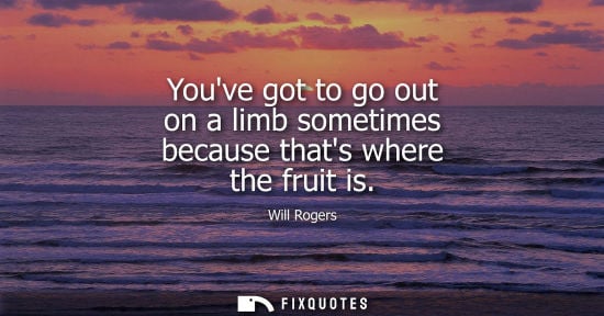 Small: Youve got to go out on a limb sometimes because thats where the fruit is - Will Rogers