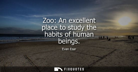 Small: Zoo: An excellent place to study the habits of human beings