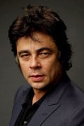 Benicio del Toro (small)