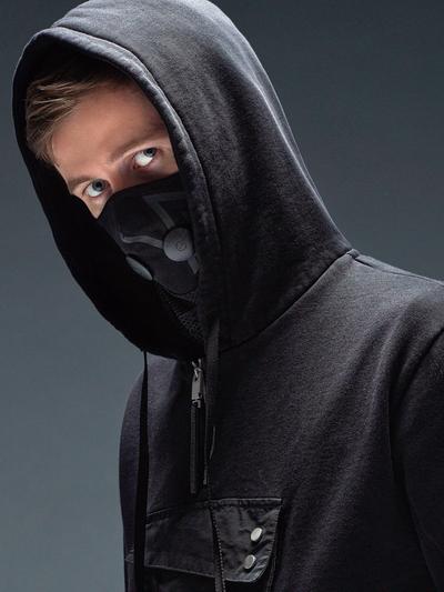 Alan Walker, Musician
