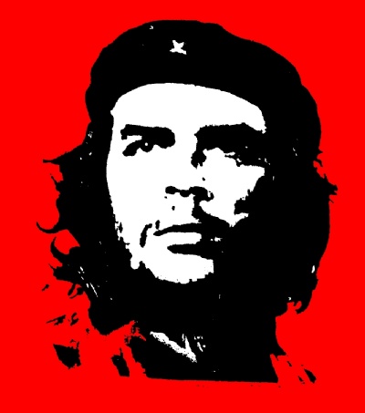 Che Guevara, Revolutionary