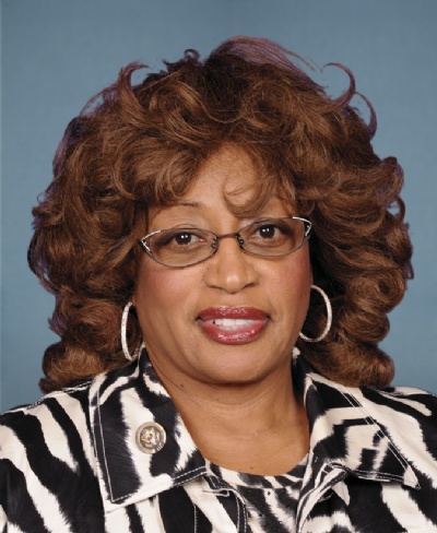 Corrine Brown, Politician