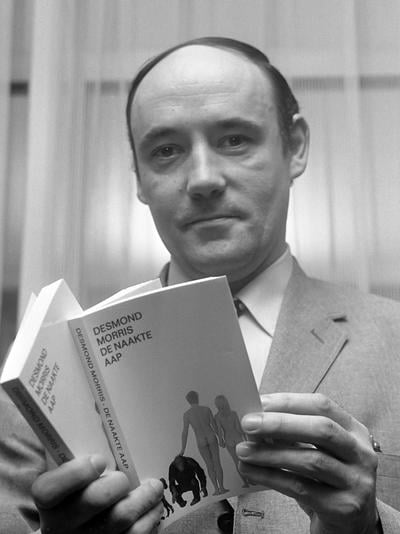 Desmond Morris, Scientist