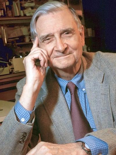 E. O. Wilson, Scientist