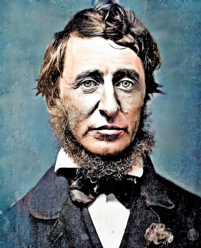 Henry David Thoreau, Author