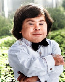 Herve Villechaize