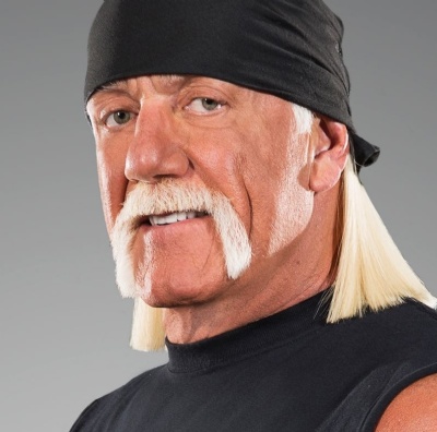 Hulk Hogan, Celebrity