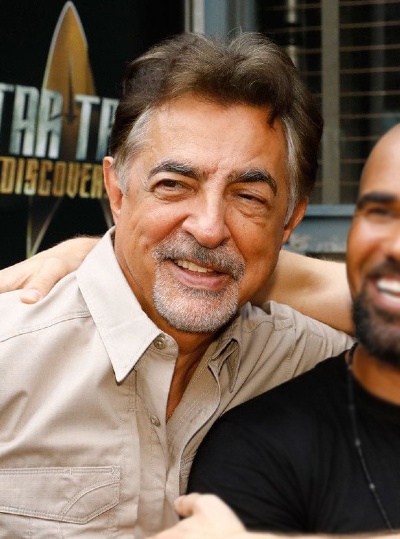 Joe Mantegna, Actor