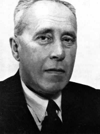 Johan Huizinga, Historian