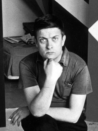 Kenneth Noland, Artist