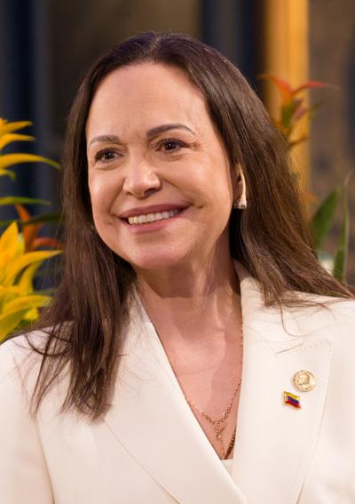 Maria Corina Machado, Politician
