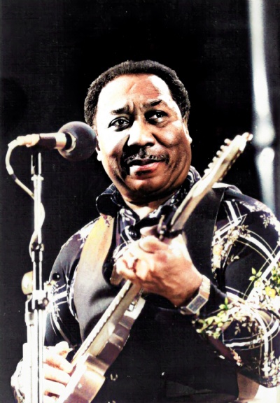 Muddy Waters, Musician