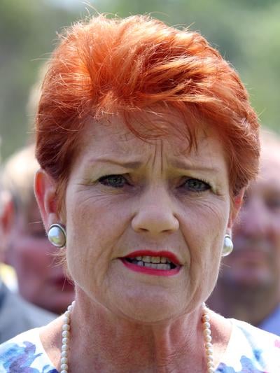 Pauline Hanson, Politician