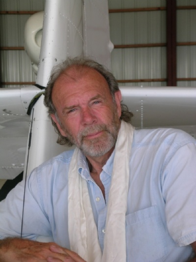 Richard Bach, Novelist