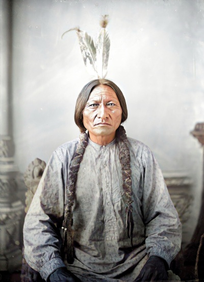 Sitting Bull, Statesman