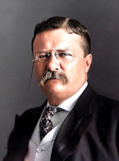 Theodore Roosevelt, President