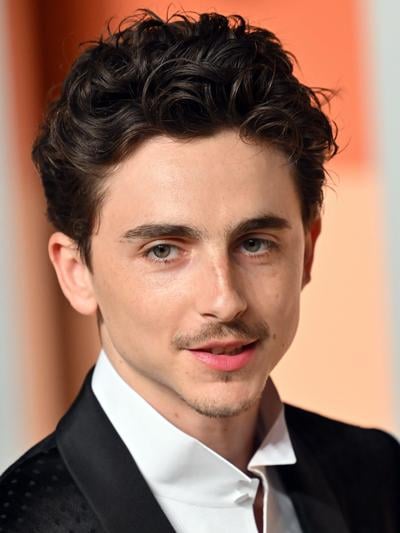 Timothée Chalamet, Actor