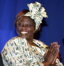 Wangari Maathai, Small