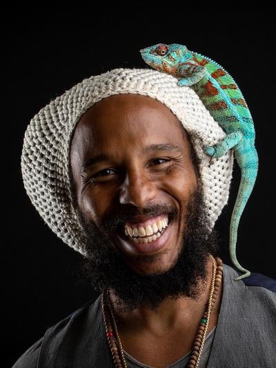 Ziggy Marley, Musician