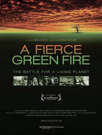 A Fierce Green Fire Poster