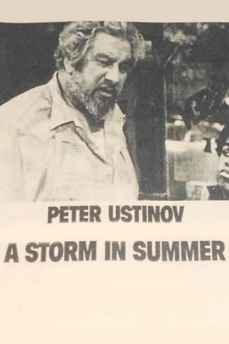 A Storm in Summer Poster