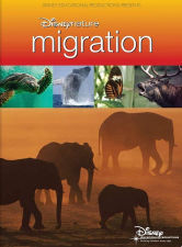 Disneynature: Migration (small)