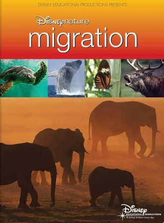 Disneynature: Migration Poster