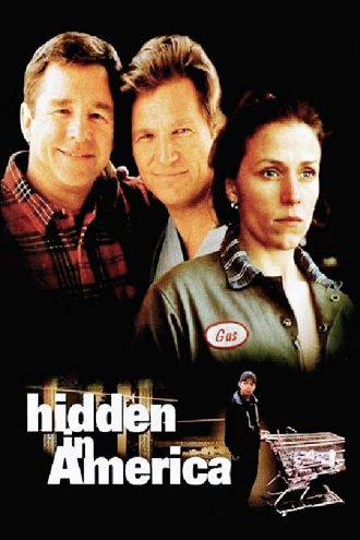 Hidden in America Poster