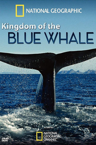 Kingdom of the Blue Whale Poster