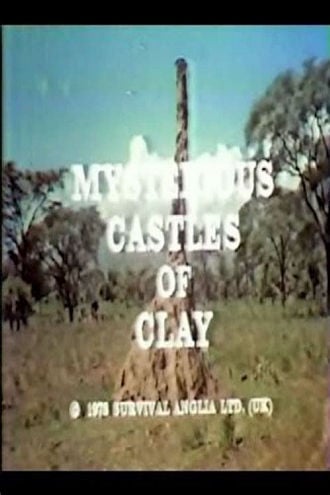 Mysterious Castles of Clay Poster