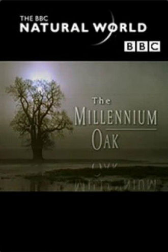 The Millennium Oak Poster
