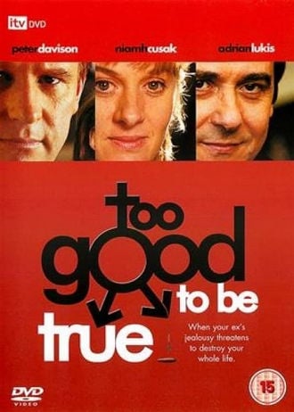 Too Good to Be True Poster