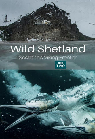 Wild Shetland: Scotland's Viking Frontier Poster