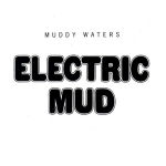 Electric Mud (small)