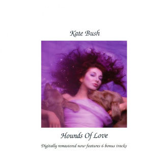 Hounds of Love Cover