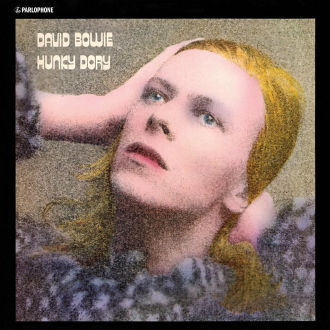 Hunky Dory Cover
