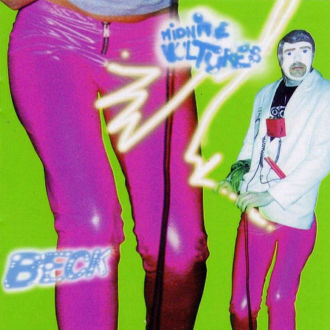 Midnite Vultures Cover