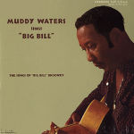 Muddy Waters Sings Big Bill Broonzy (small)