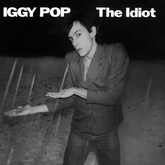 The Idiot Cover