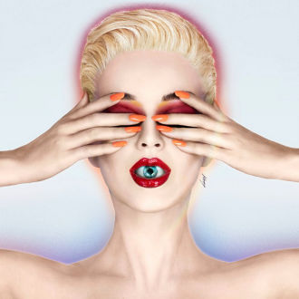 Witness Cover