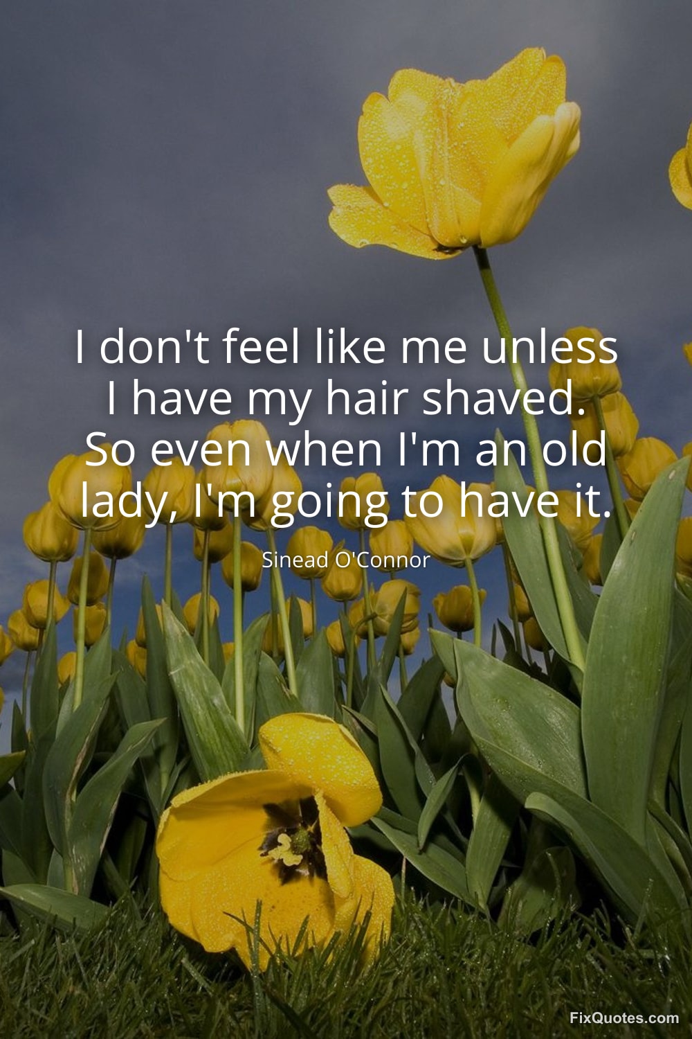 I Don t Feel Like Me Unless I Have My Hair Shaved So Even When I m An O I Don t Feel Like Me Unless I Have My Hair Shaved So Even When I m An O