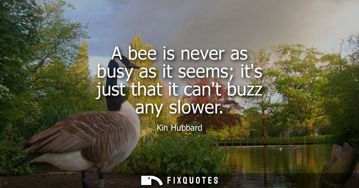 A bee is never as busy as it seems its just that it cant buzz any slower