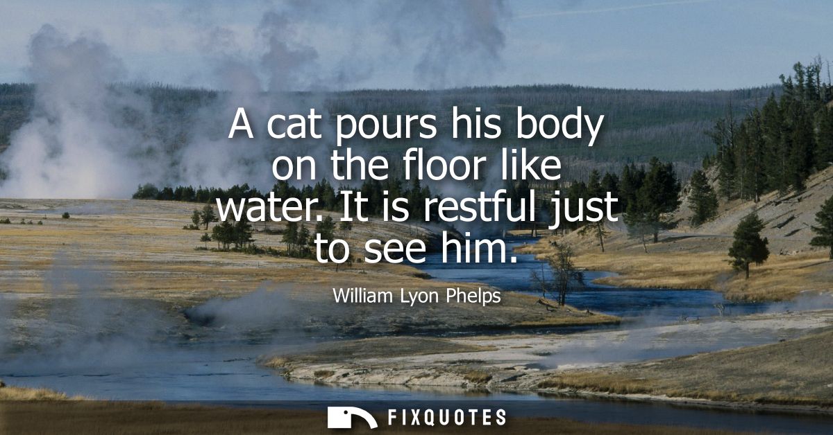A cat pours his body on the floor like water. It is restful just to see him