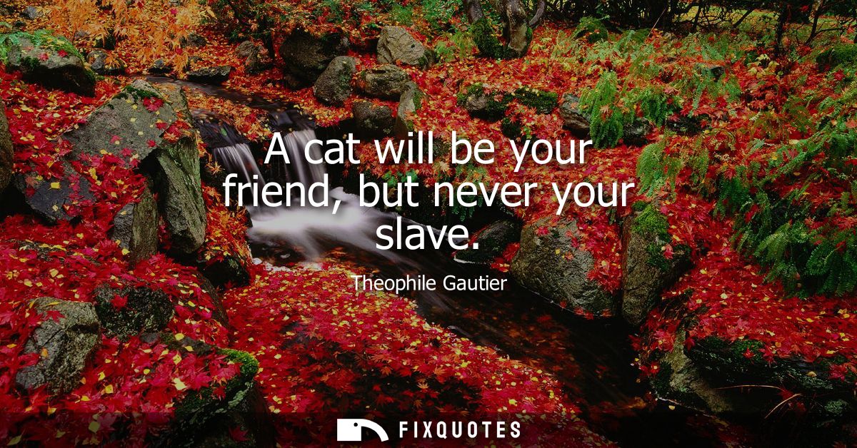 A cat will be your friend, but never your slave