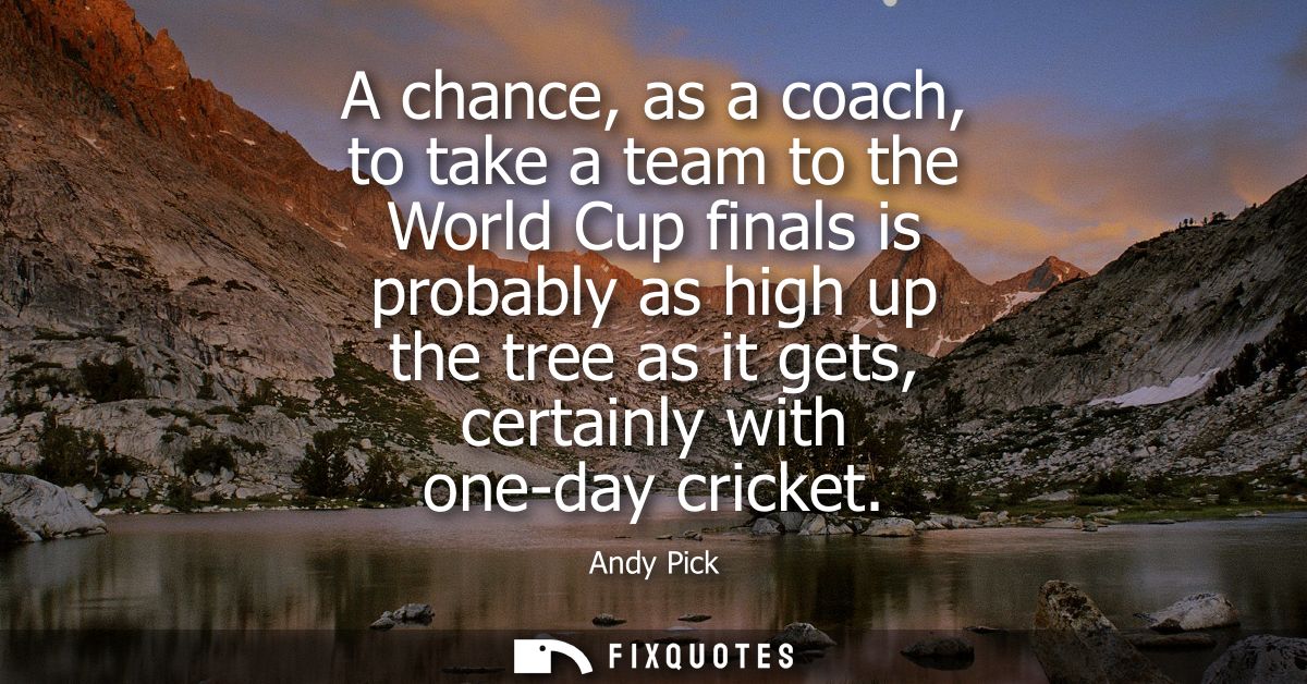 A chance, as a coach, to take a team to the World Cup finals is probably as high up the tree as it gets, certainly with 